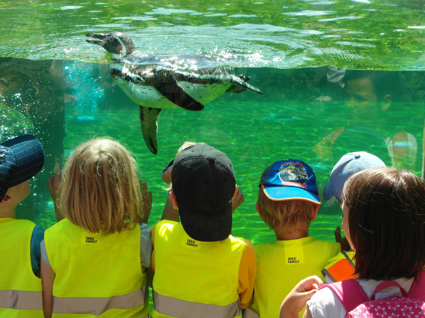 Der Zooausflug