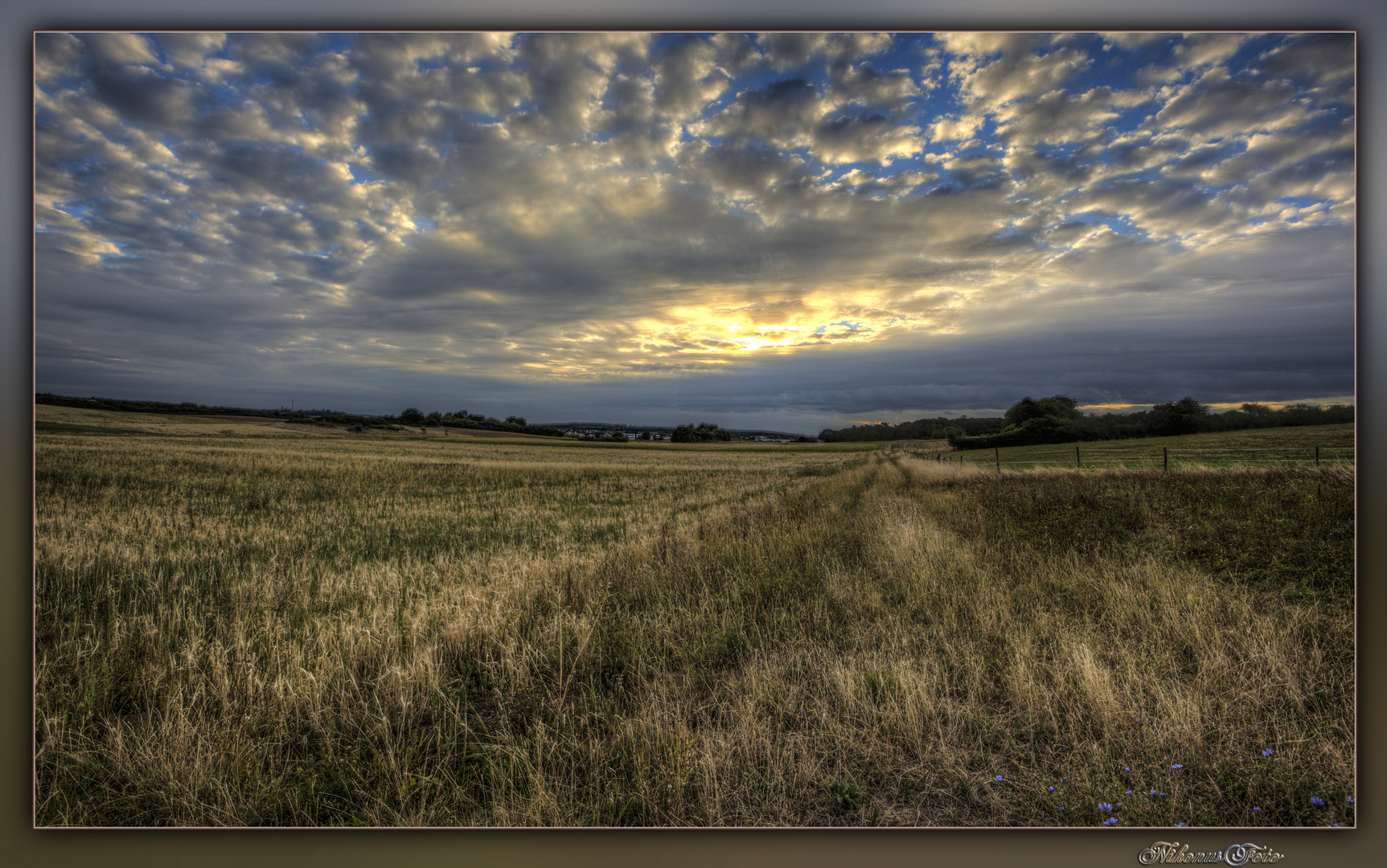 der zu trockene Sommer