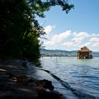 Der Zürichsee und ein Hauch von Südsee