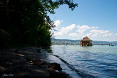 Der Zürichsee und ein Hauch von Südsee