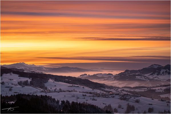 Der Zürichsee unter der Nebeldecke