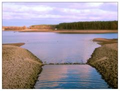 Der Zufluss am Rothsee