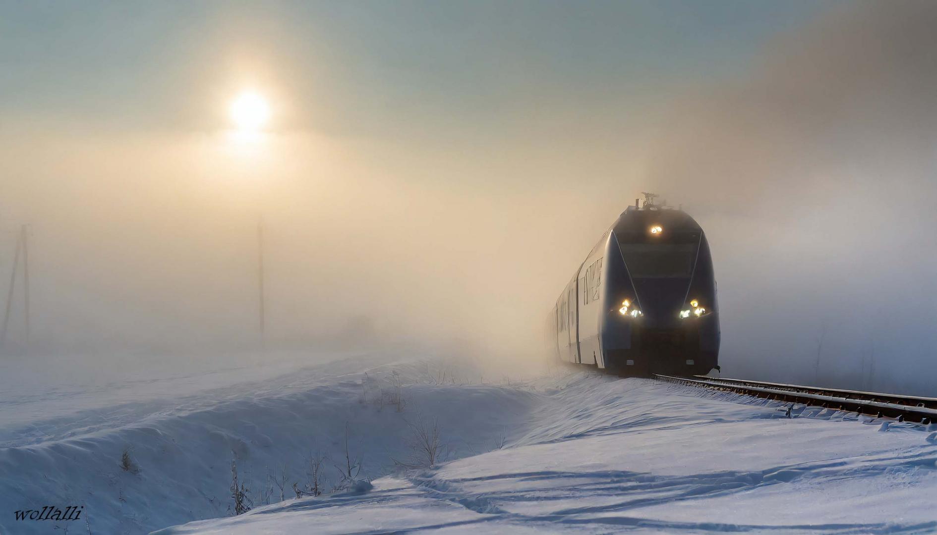 Der Zug der aus dem Nebel kam