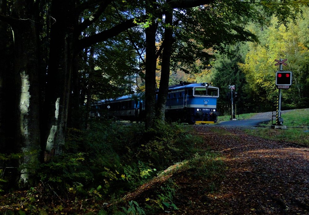 Der Zug, der Wald und das Licht [Sudety 2016]