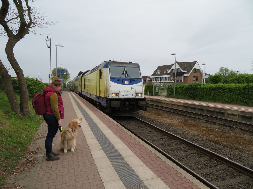 Der Zug Der Zug