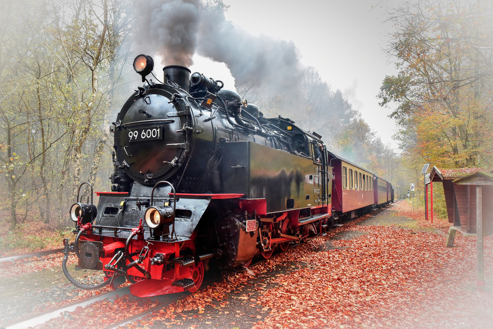 Der Zug kommt Foto & Bild | eisenbahn, verkehr & fahrzeuge ...