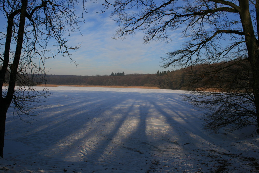 Der zugefrorene Brinkenweiher im Westerwald