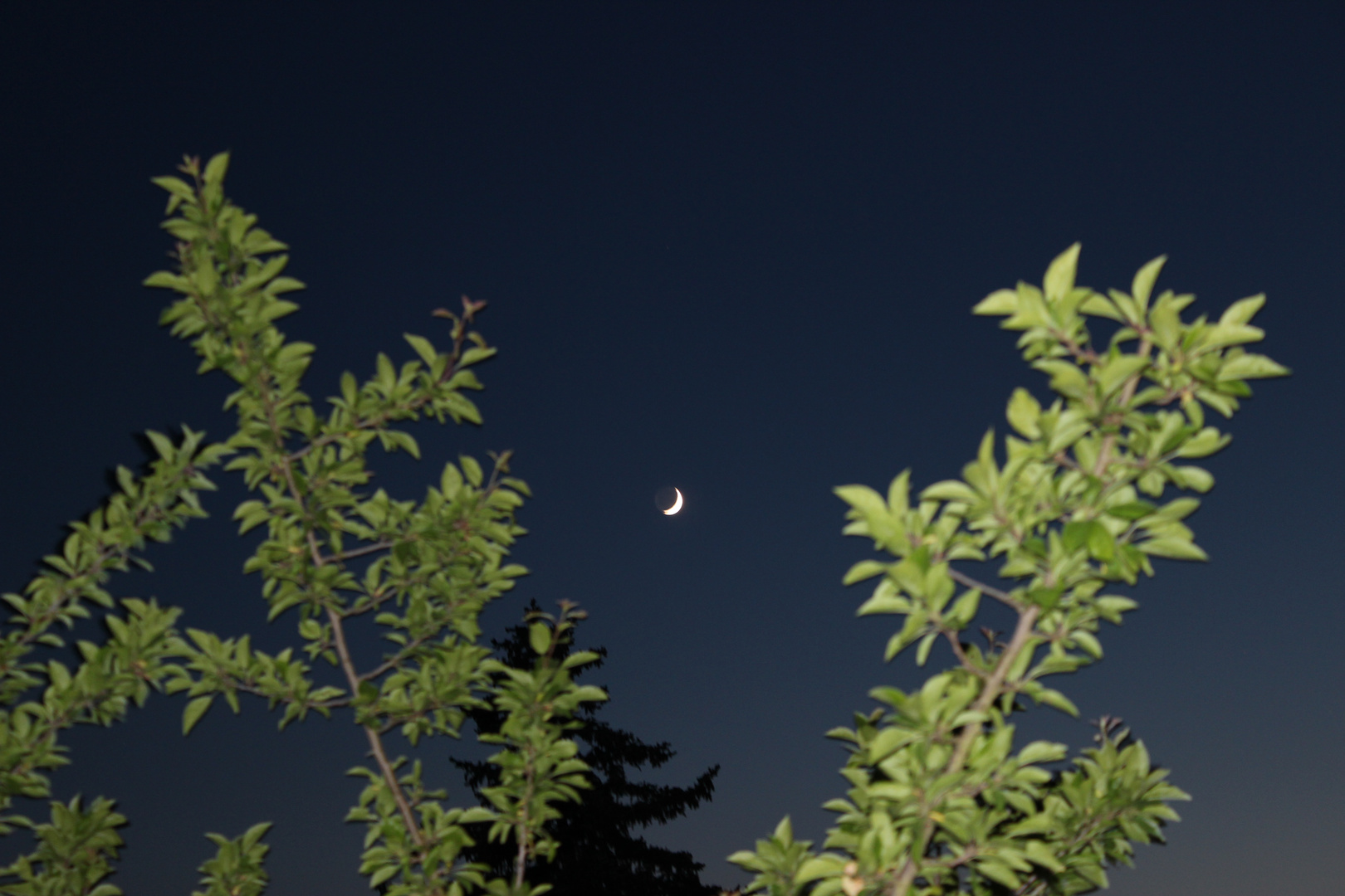 Der zunehmende Mond am Abendhimmel ...