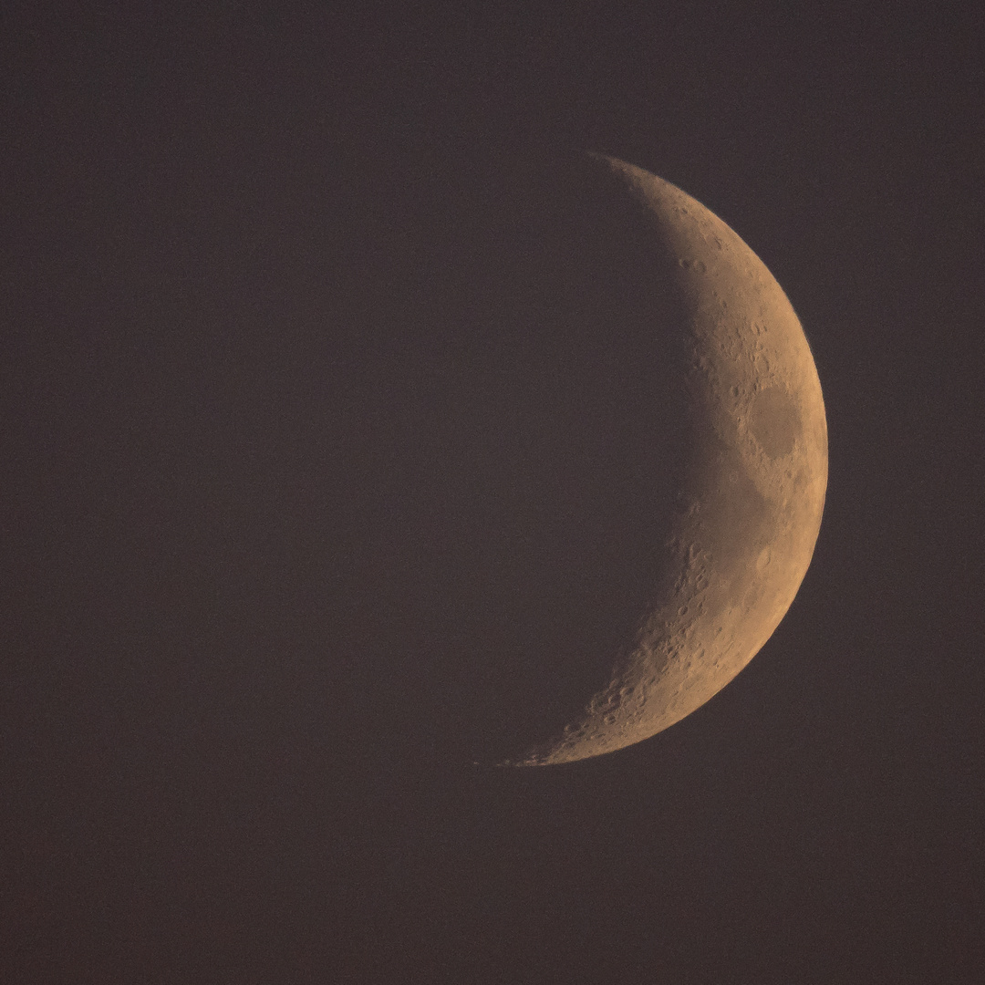 der zunehmende Mond vom 10.10.2021 (24%)