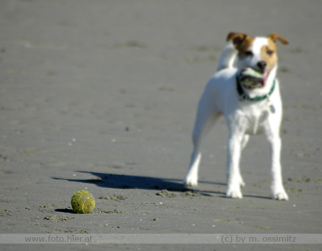 Der zweite Ball.....