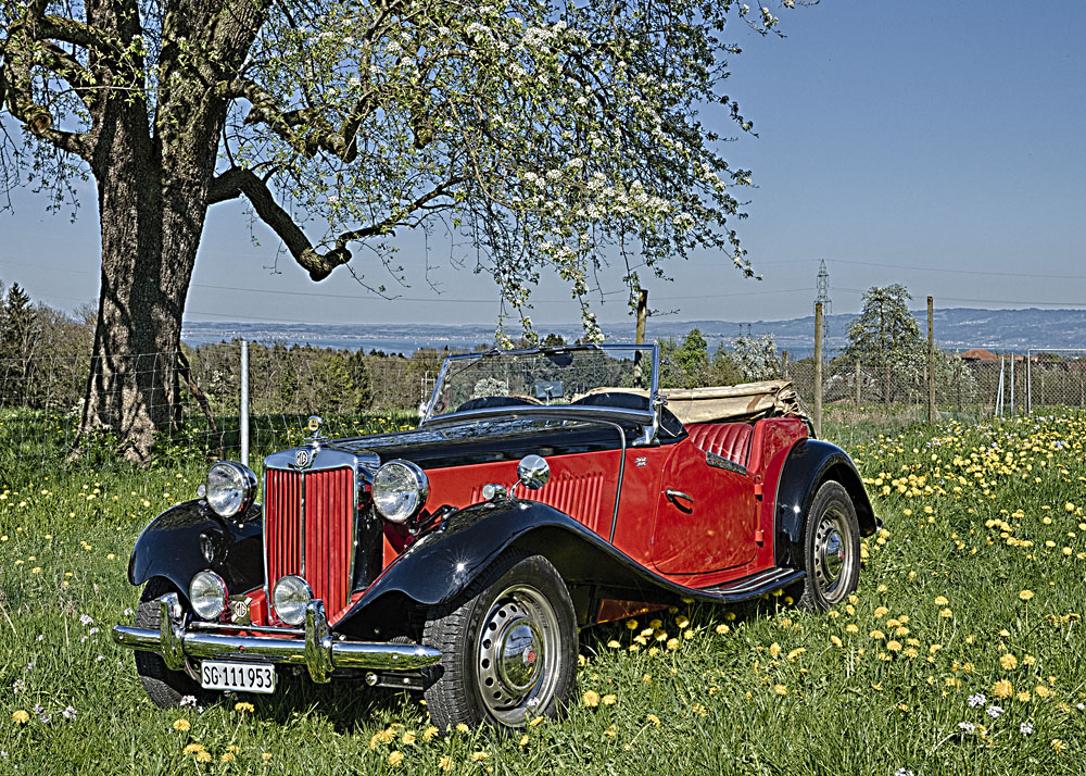 Der zweite Frühling des MG-TD aus dem Jahr 1953