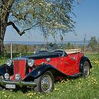 Der zweite Frühling des MG-TD aus dem Jahr 1953