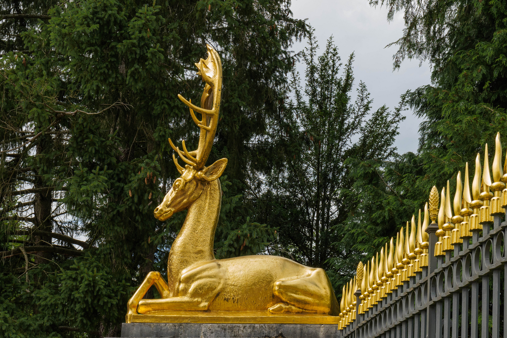 Der zweite Goldhirsch