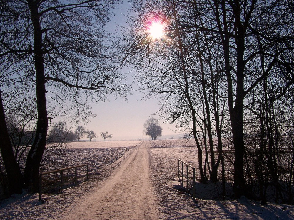 der zweite weg