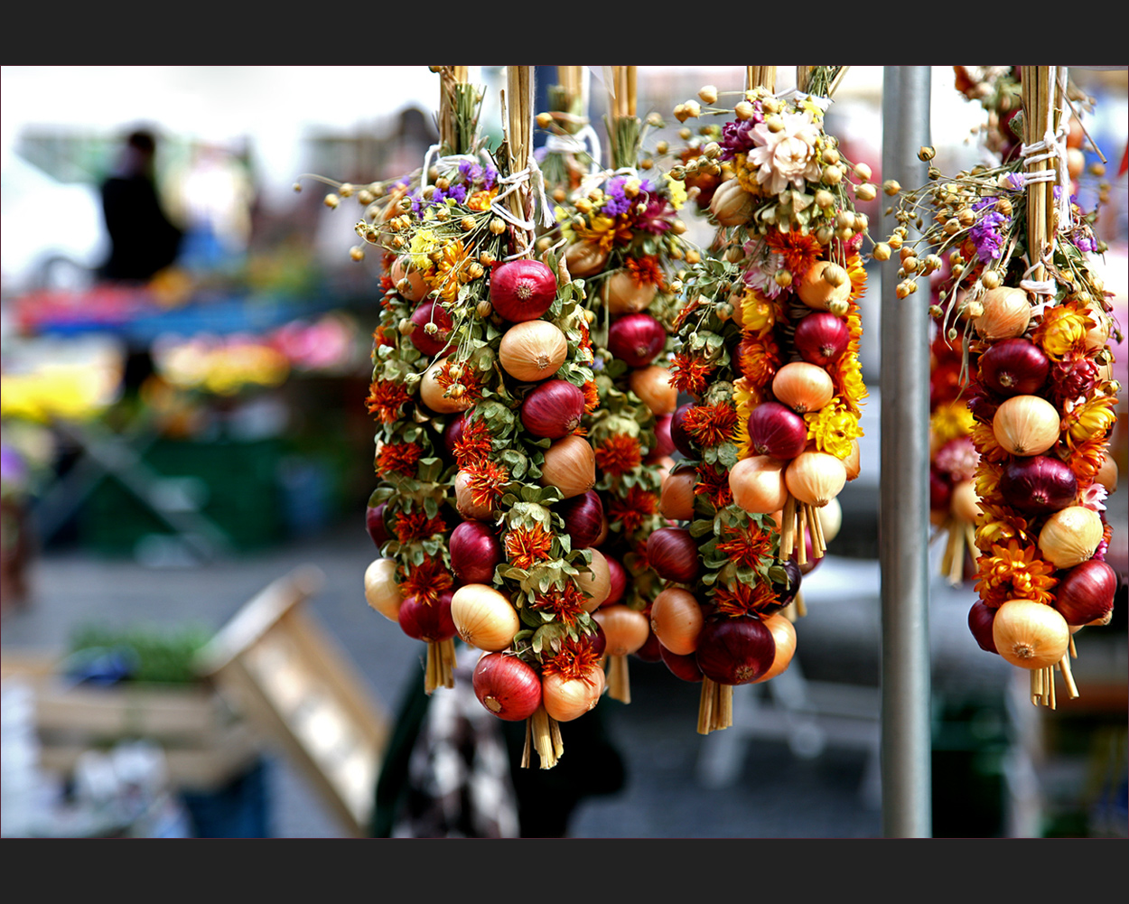 der Zwiebelmarkt