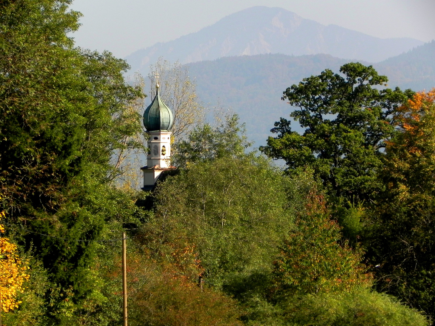 Der Zwiebelturm vom "Ähndl" schaut durch die Zweige