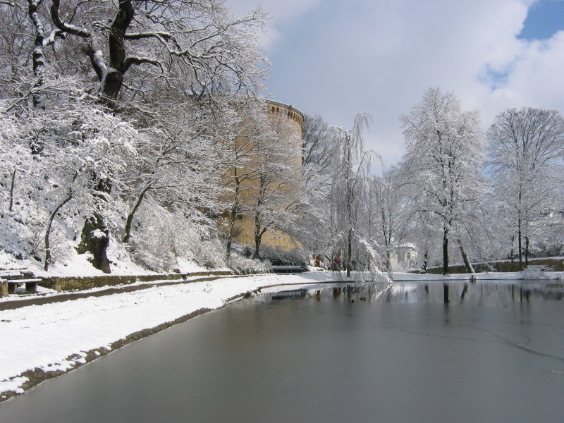 Der Zwinger