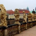 Der Zwinger im Februar 2014