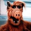 der.Alf