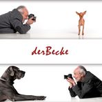 derBecke - bodenständig