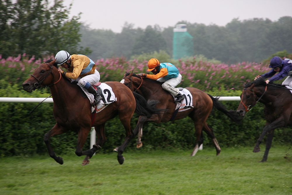 Derbysieger Waldpark