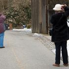 derdiefotografiertdiediefotografiertdiediemülltonnenfotografiert-passt doch rein!