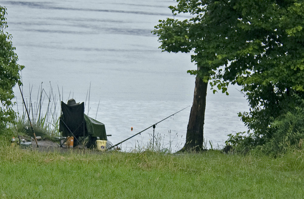 der_fischer_im_regen