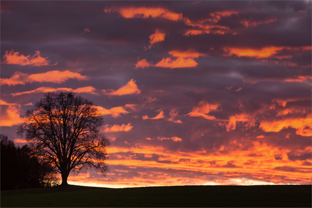 < Der.Himmel.brennt >