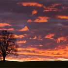 < Der.Himmel.brennt >