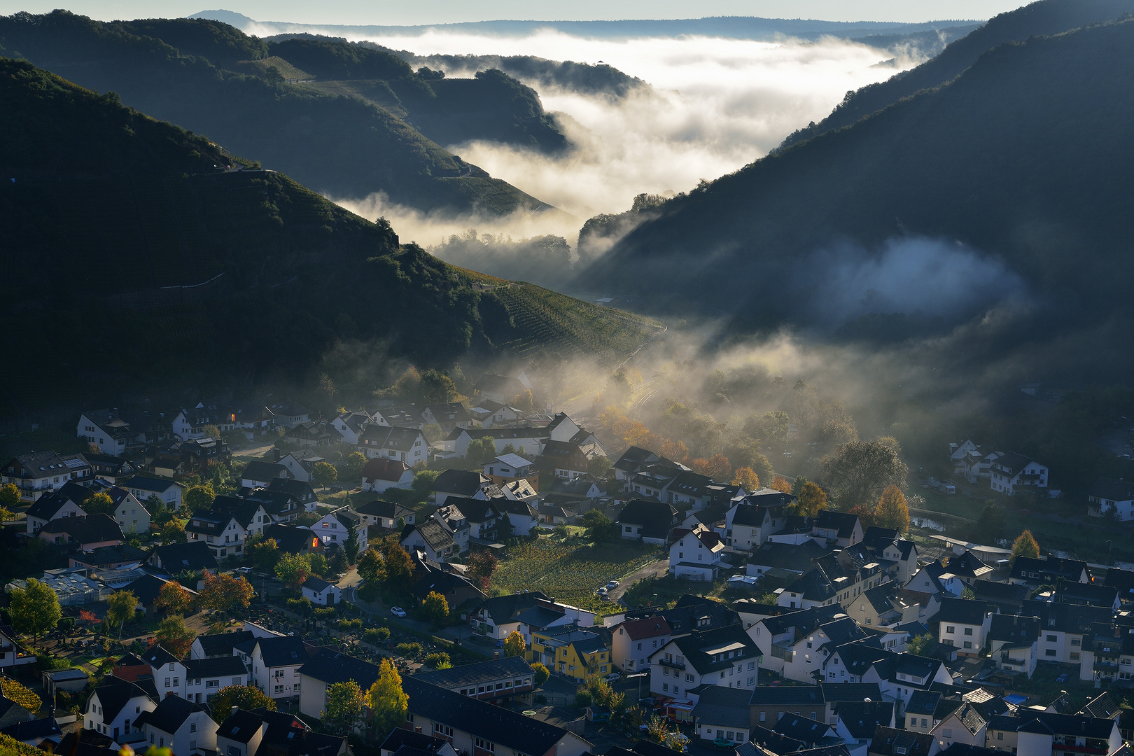 Dernau am Morgen