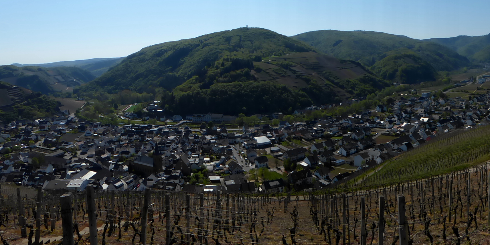  Dernau an der Ahr mit dem Krausberg