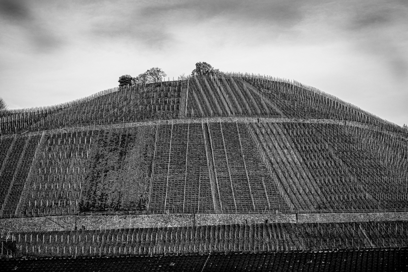 Dernau im Ahrtal