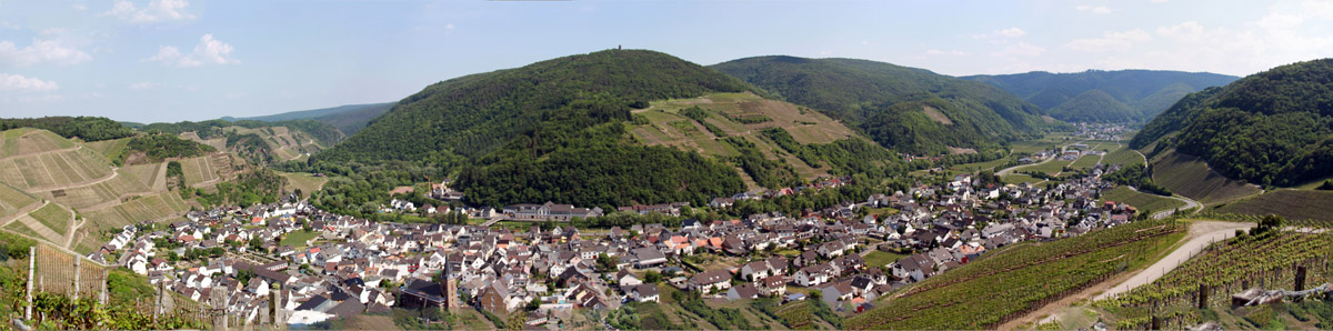 Dernau Panorama