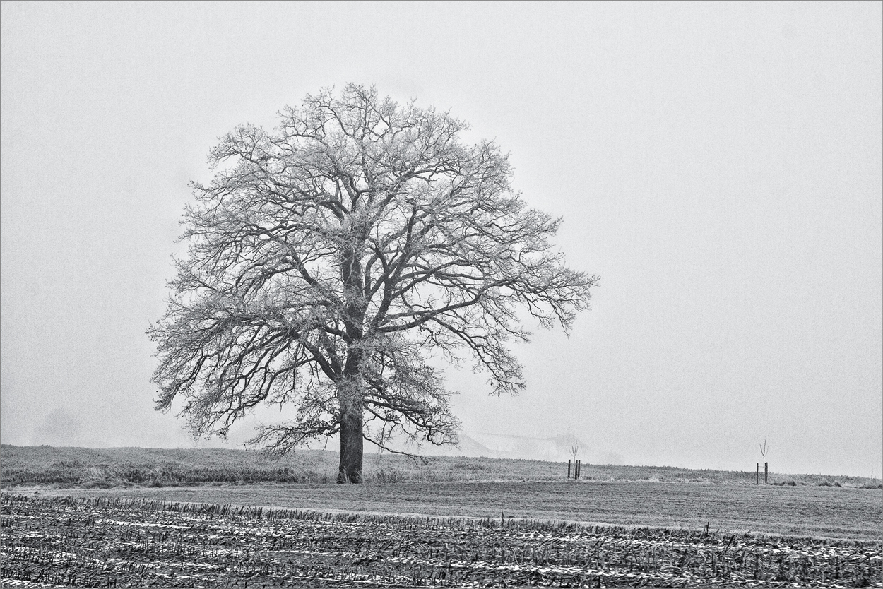 /// Der.Nebel.lichtet.sich ///