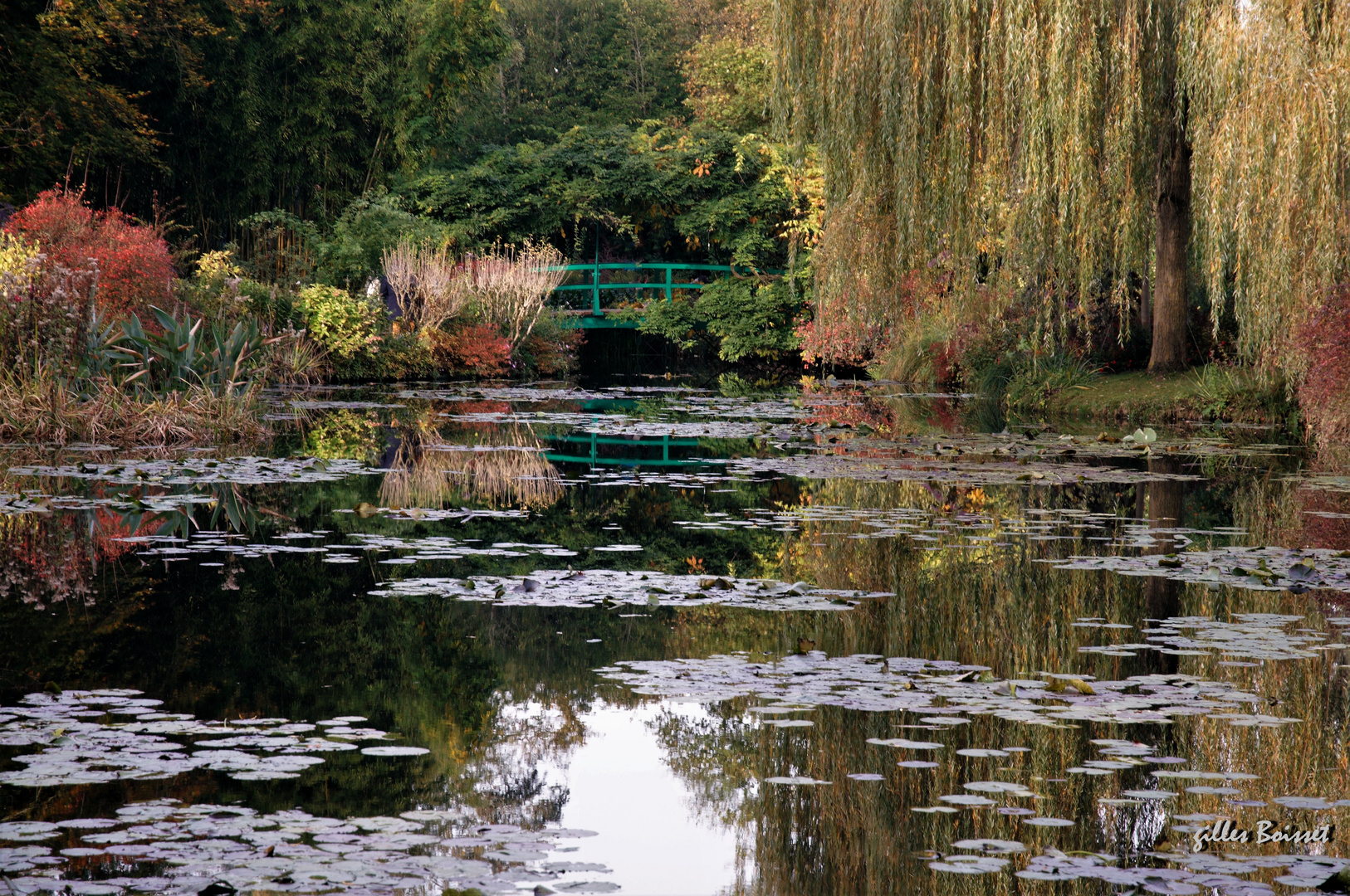 Dernier matin chez Monet, l'étang aux nymphéas