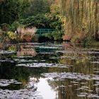 Dernier matin chez Monet, l'étang aux nymphéas