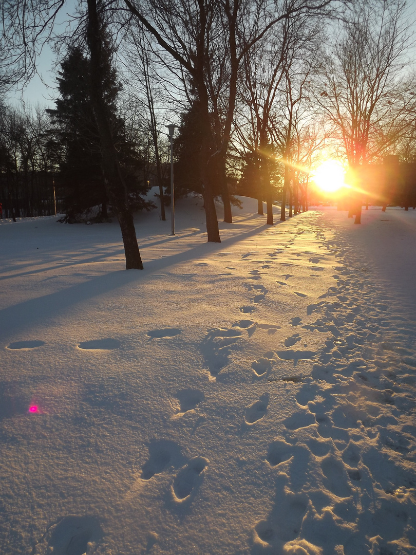 Dernier rayon de soleil de la journée... Québec