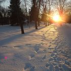 Dernier rayon de soleil de la journée... Québec