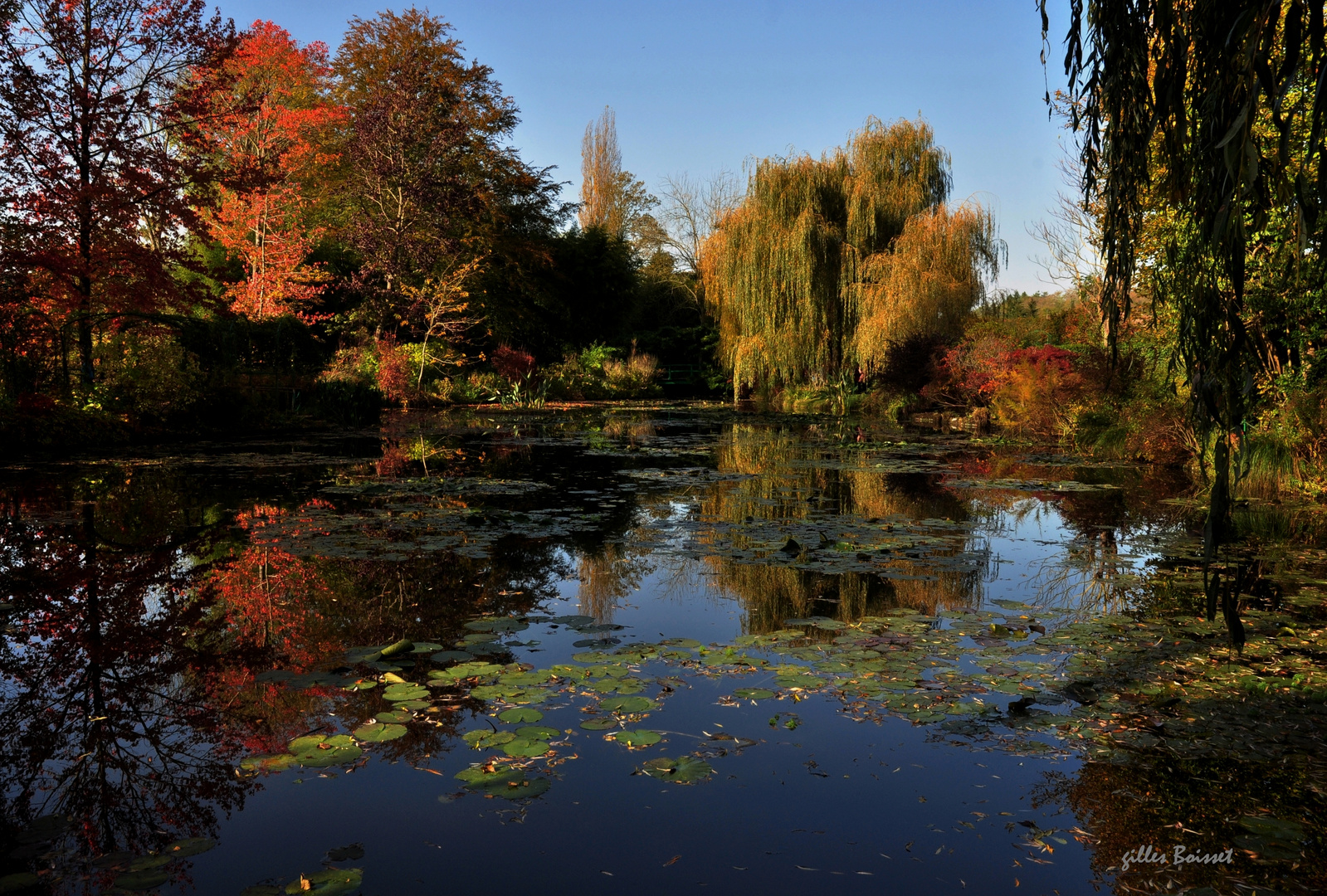 dernier soleil sur Giverny