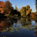 dernier soleil sur Giverny