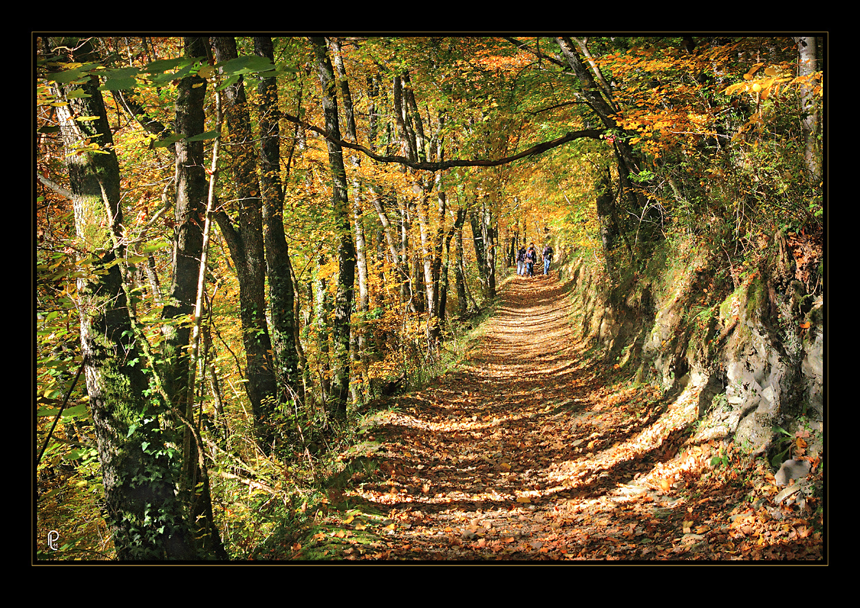 dernière balade en automne