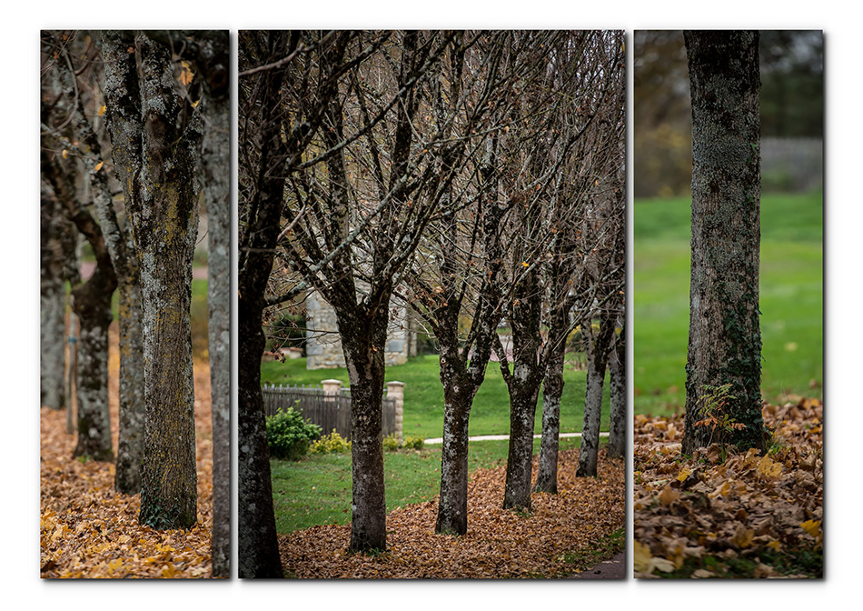 Dernière d'Automne .......