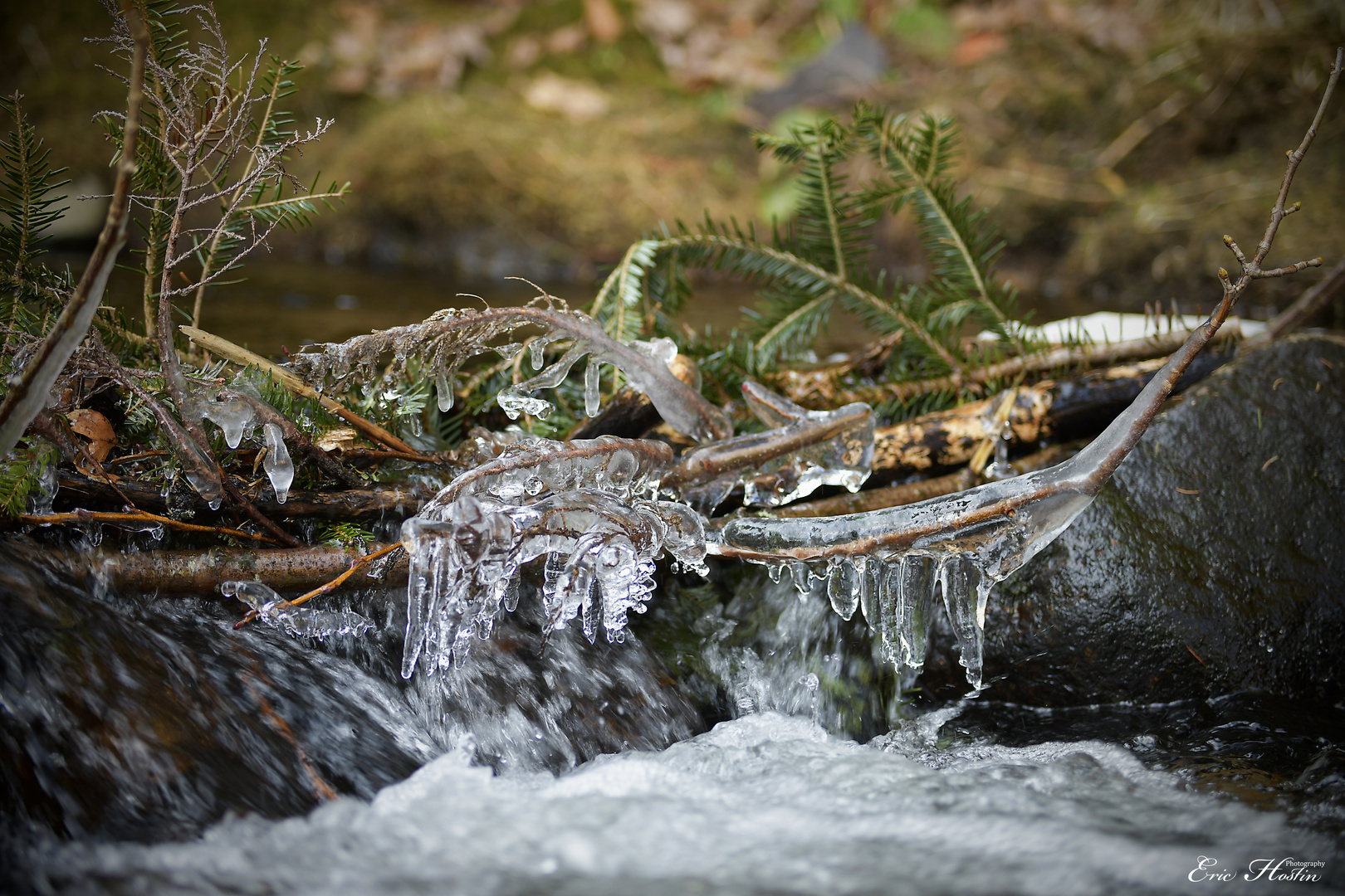 Dernière glace.