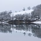 Dernière neige sur le lac !