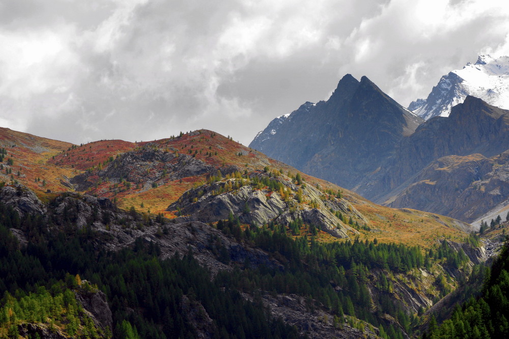 Dernières couleurs avant la neige