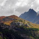 Dernières couleurs avant la neige