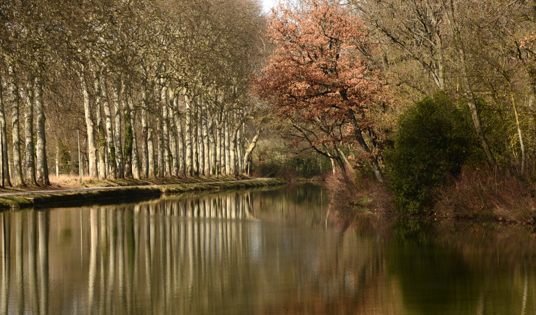 dernières couleurs de l hiver