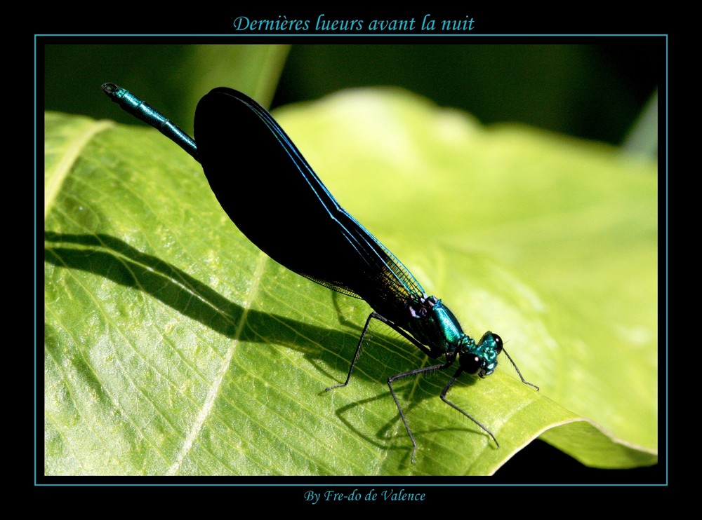 Dernières lueurs avant la nuit