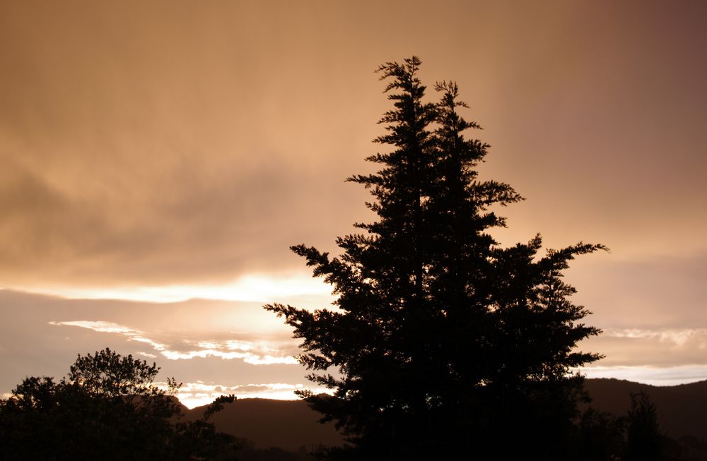 Derniers éclats avant la nuit