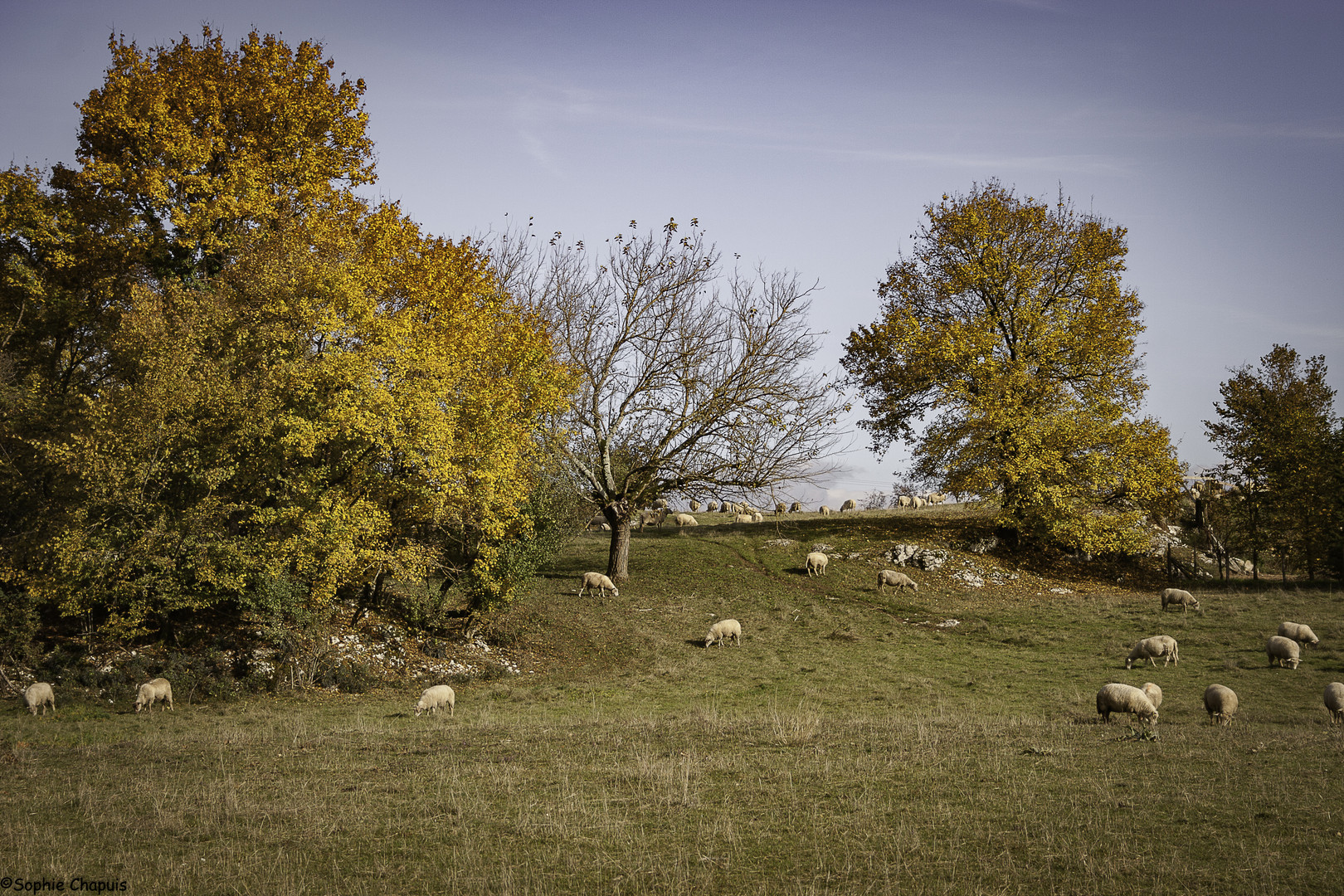 Derniers jours d'Automne